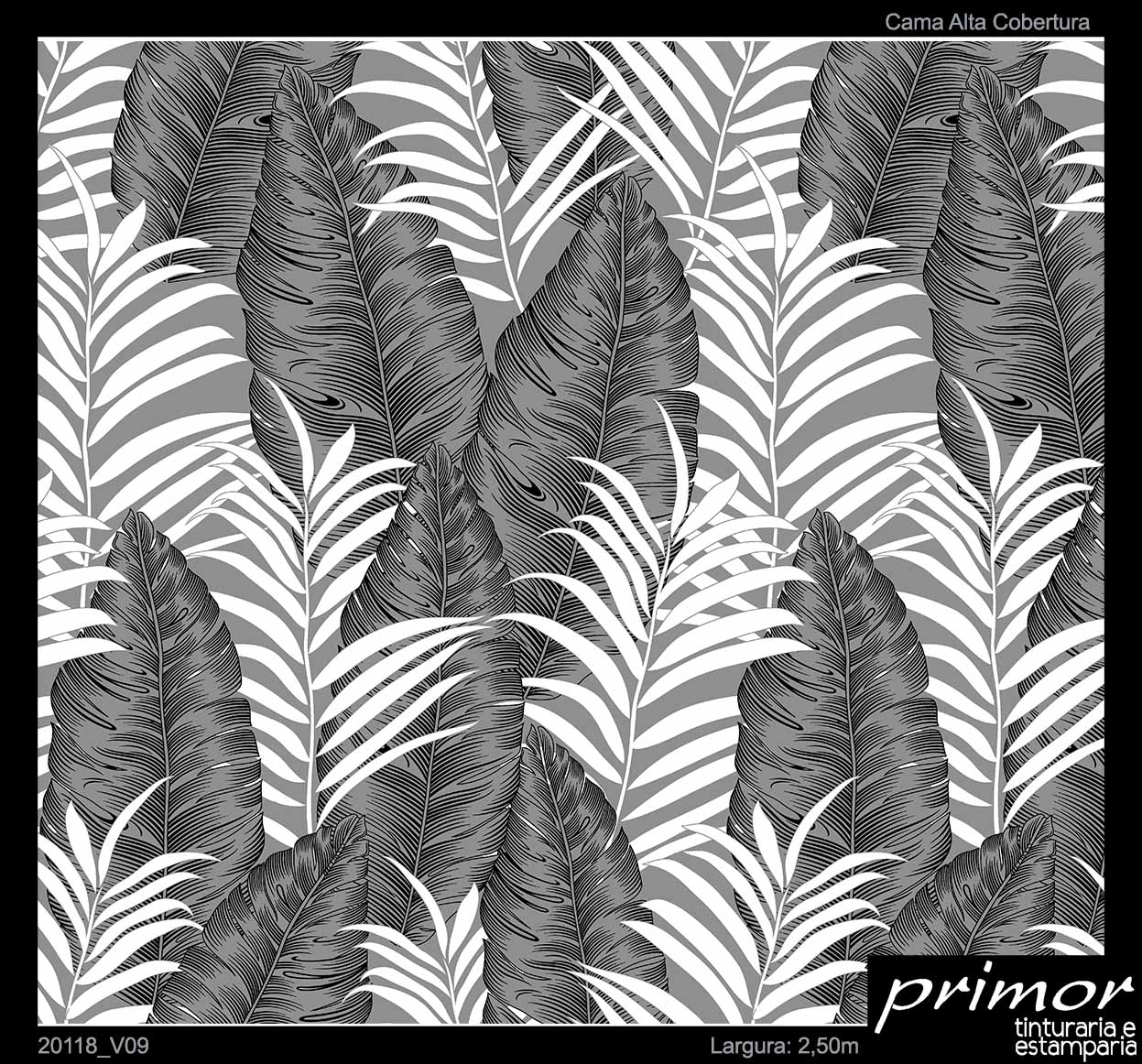 20118_V09