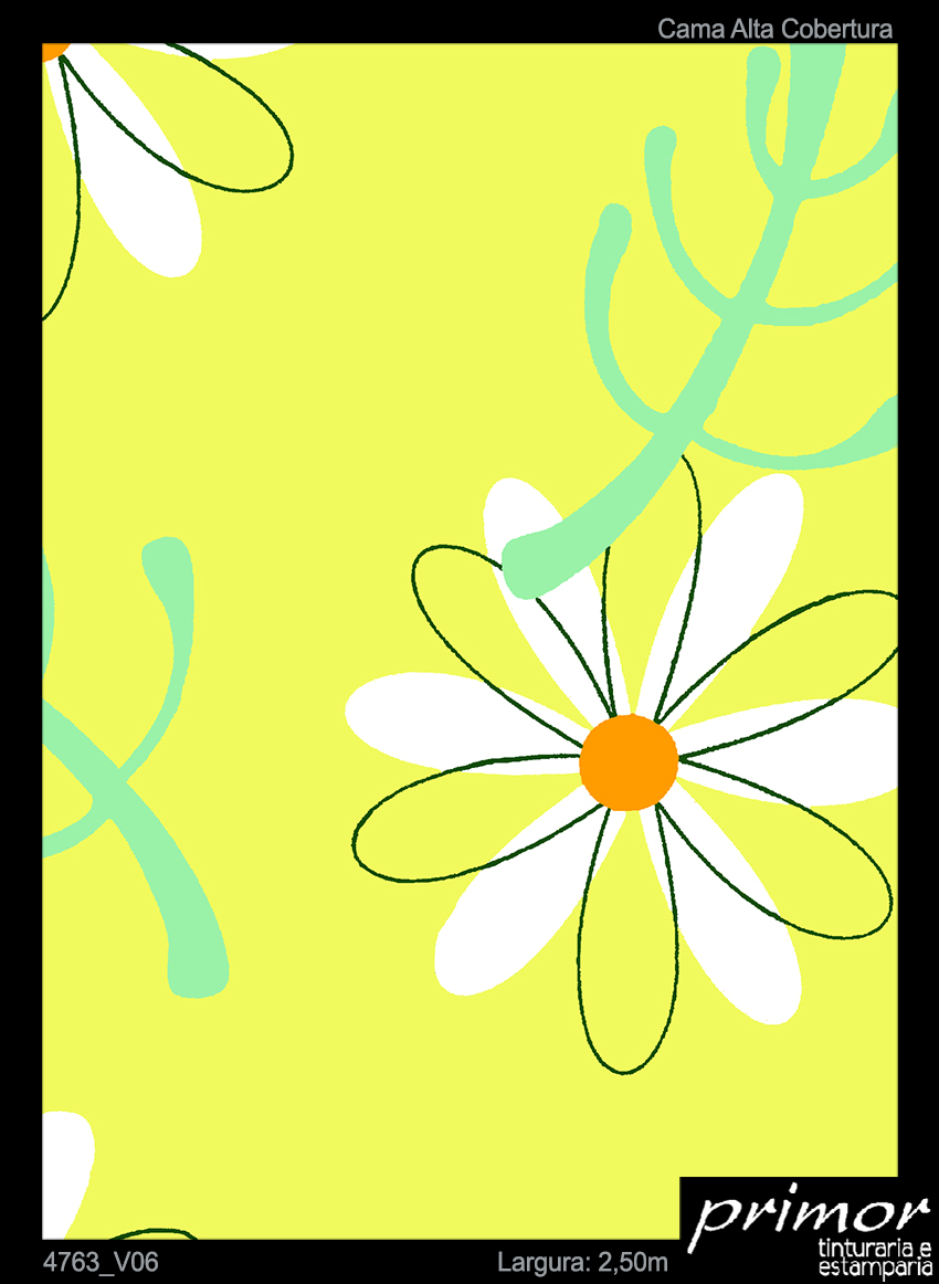 4763_V06