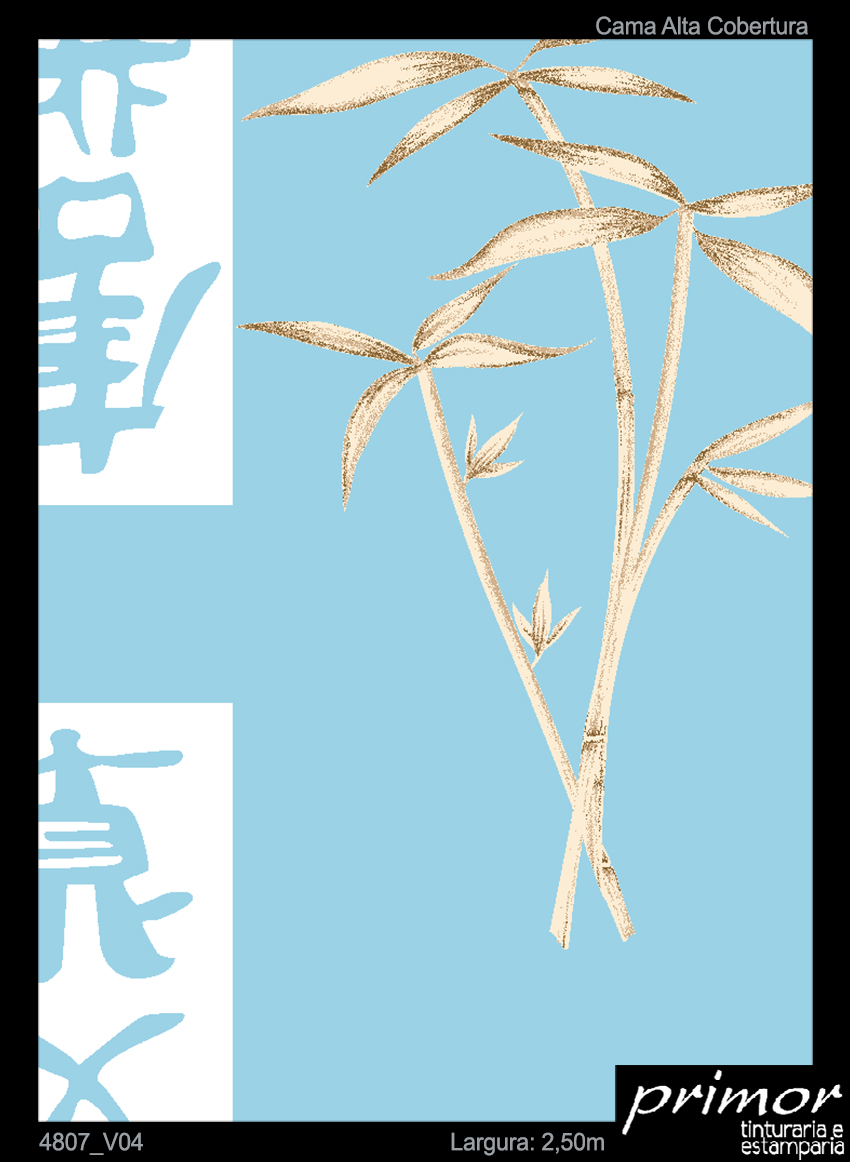 4807_V04