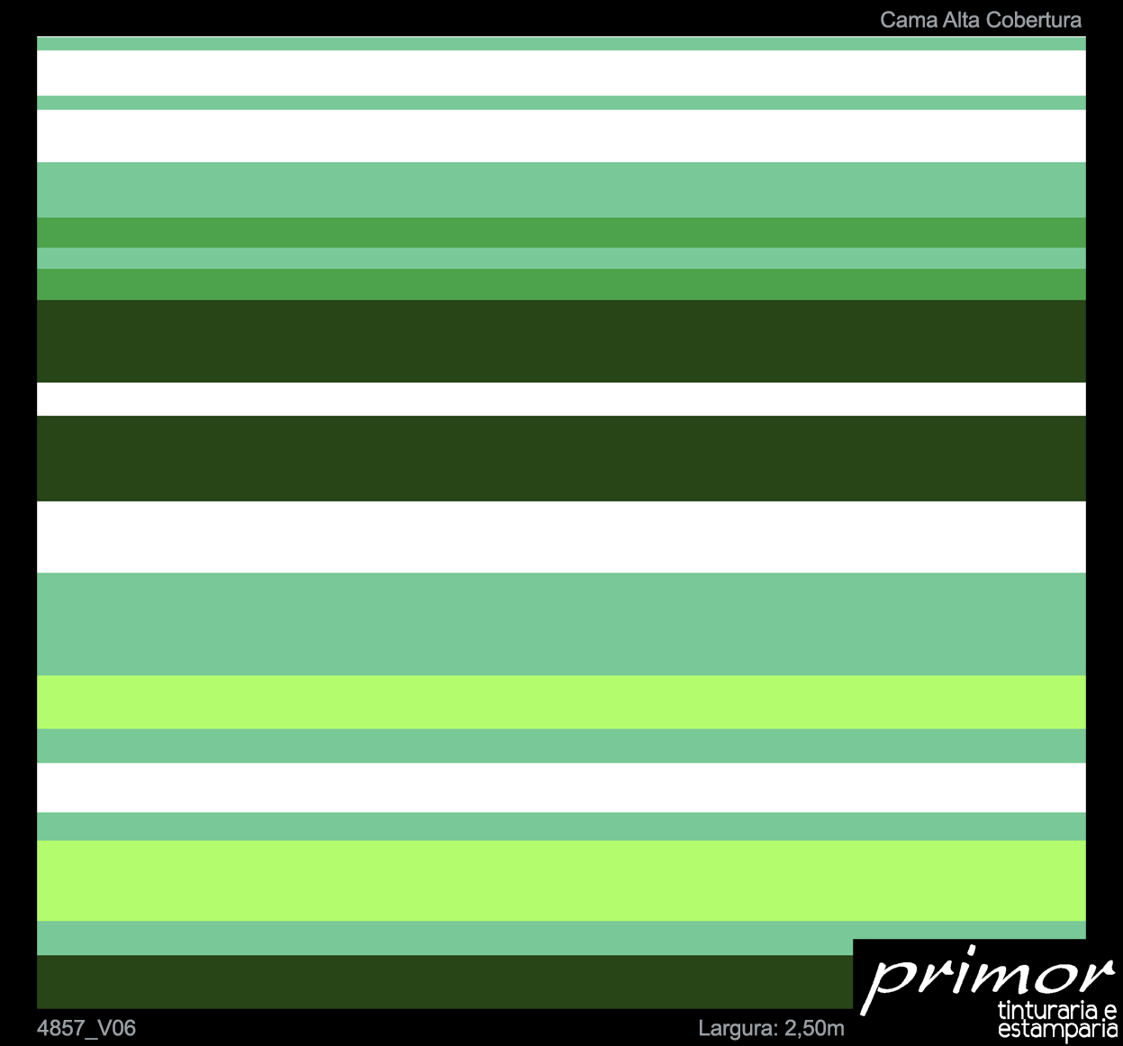4857_V06