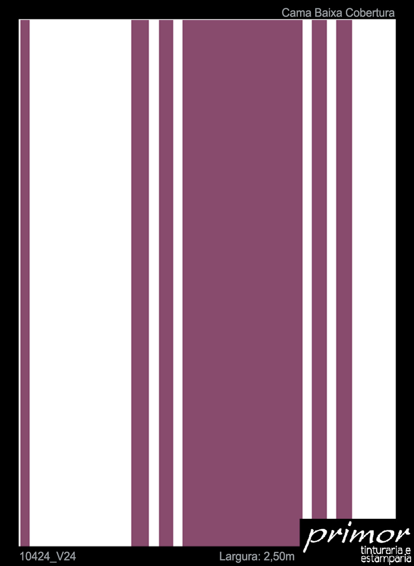 10424_V24