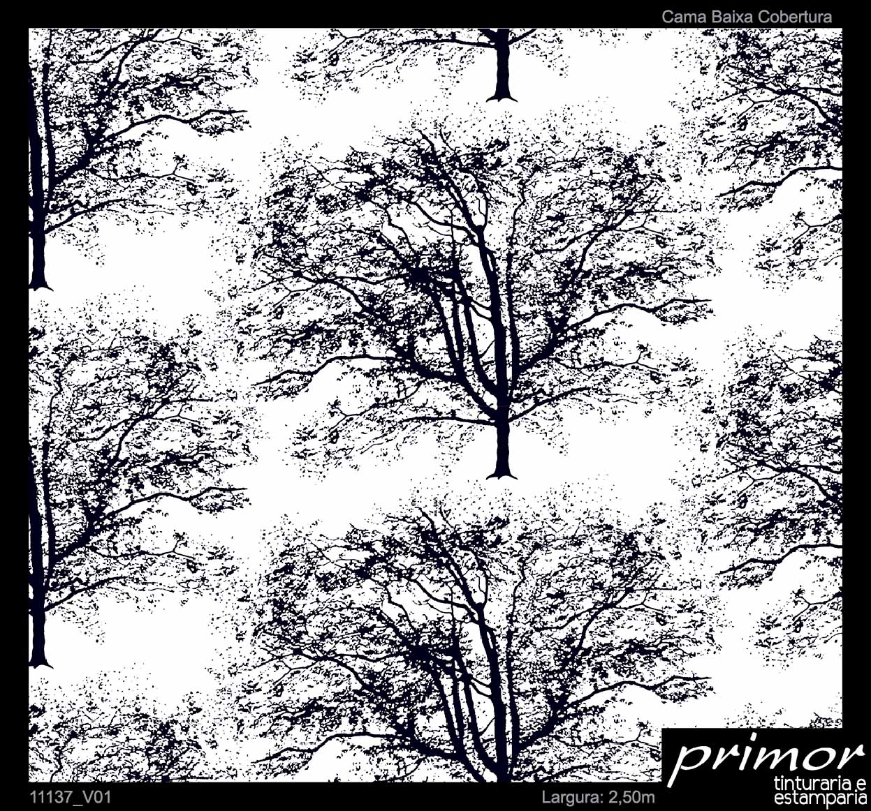 11137_V01