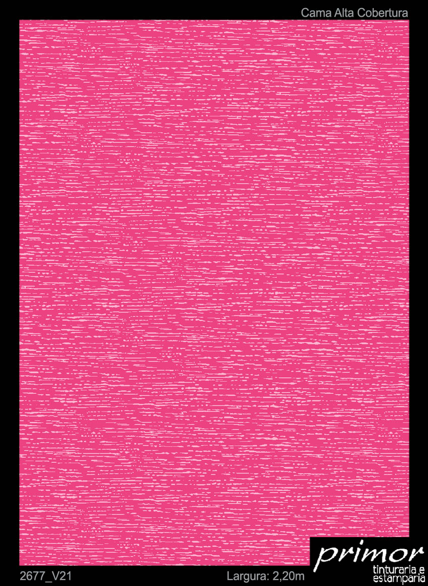 2677_V21