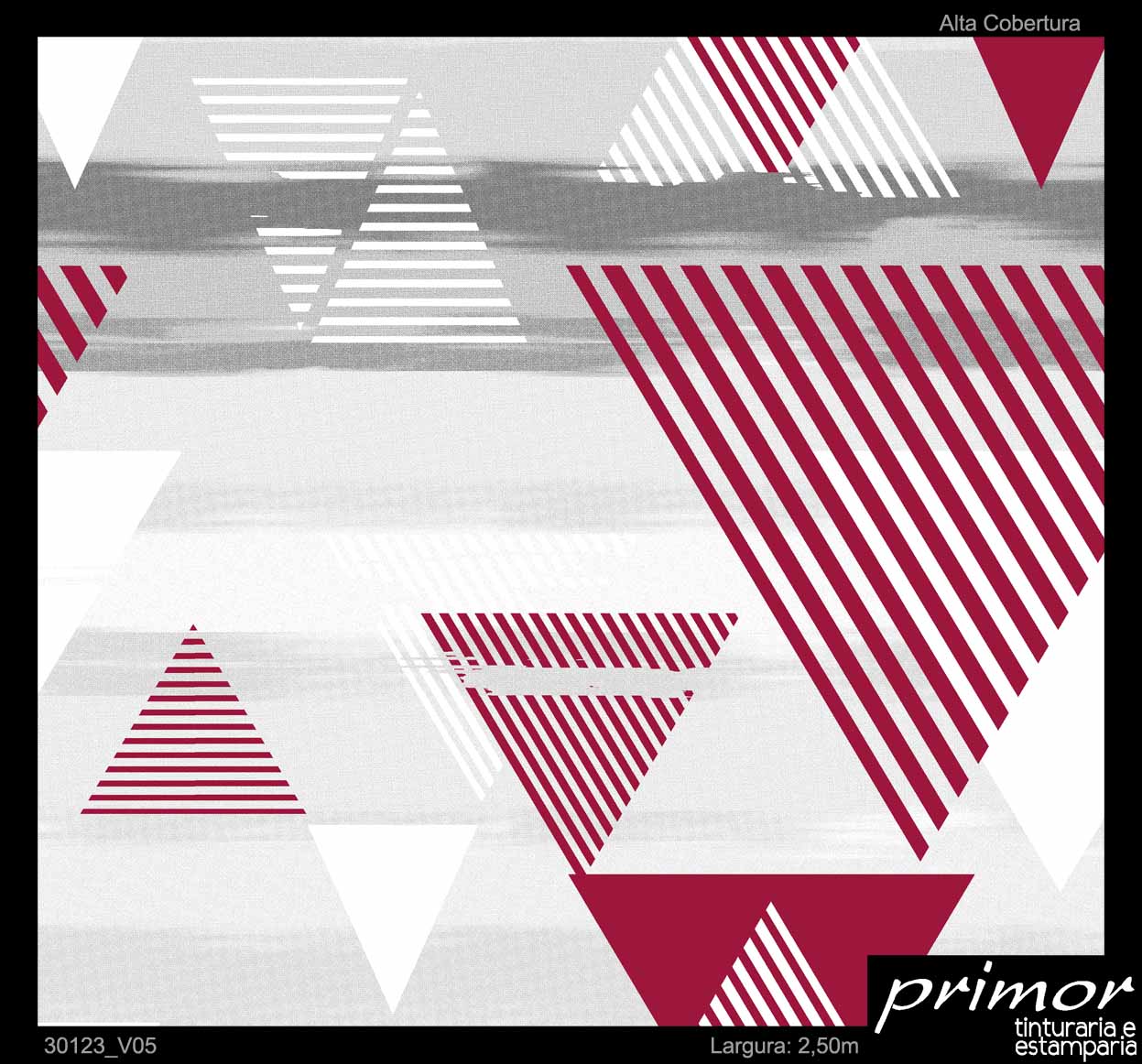 30123_V05