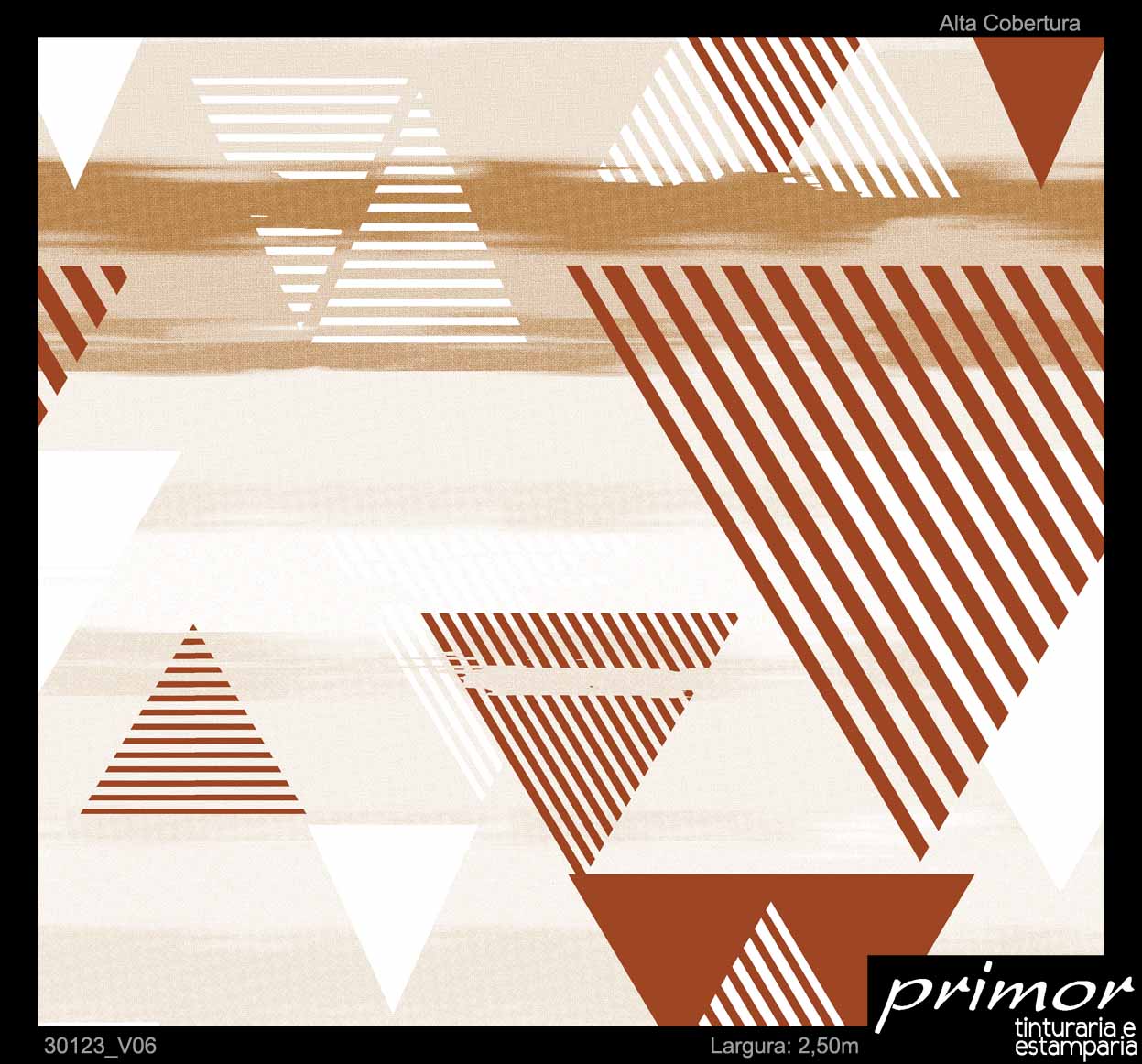 30123_V06