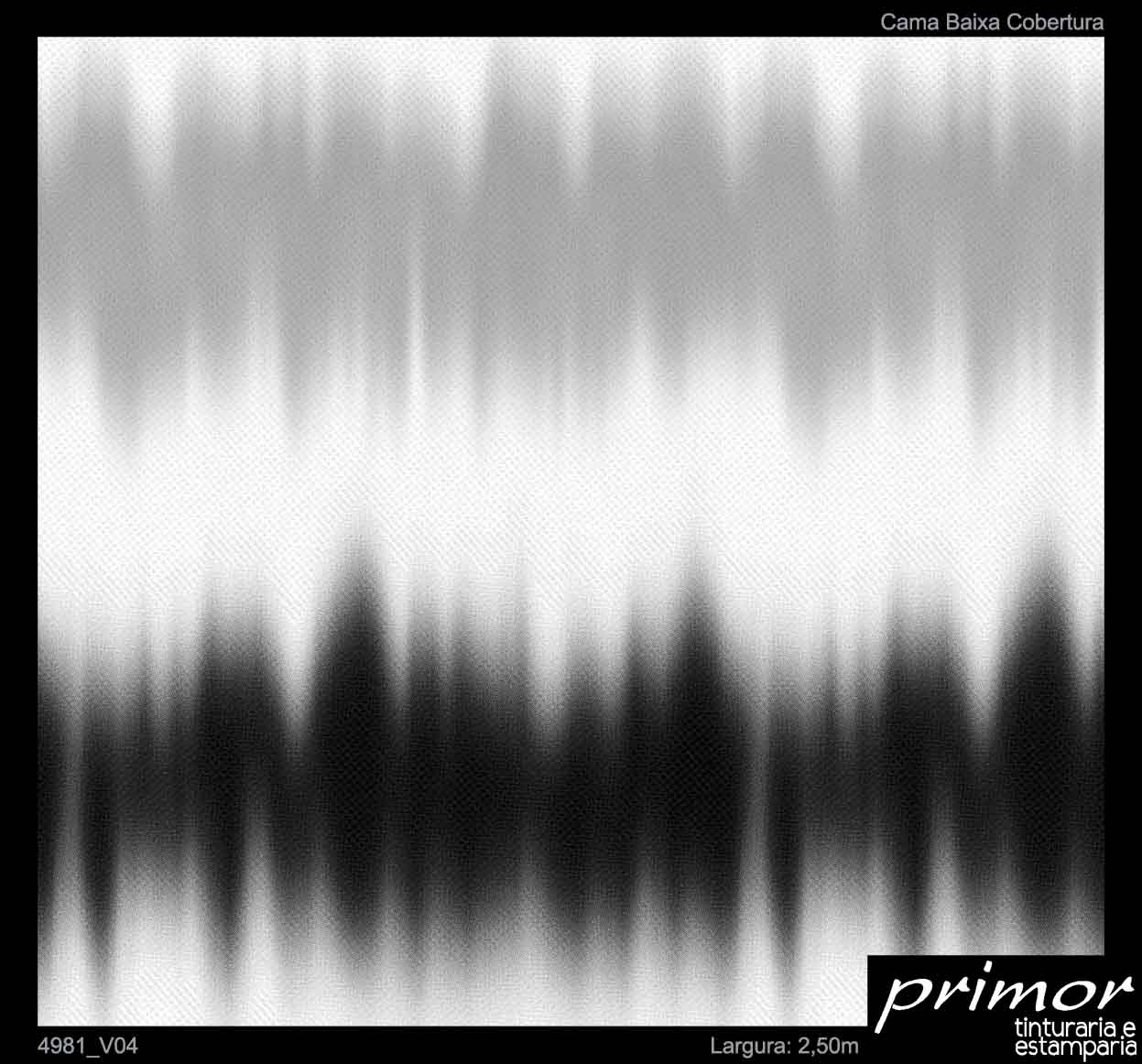4981_Var04
