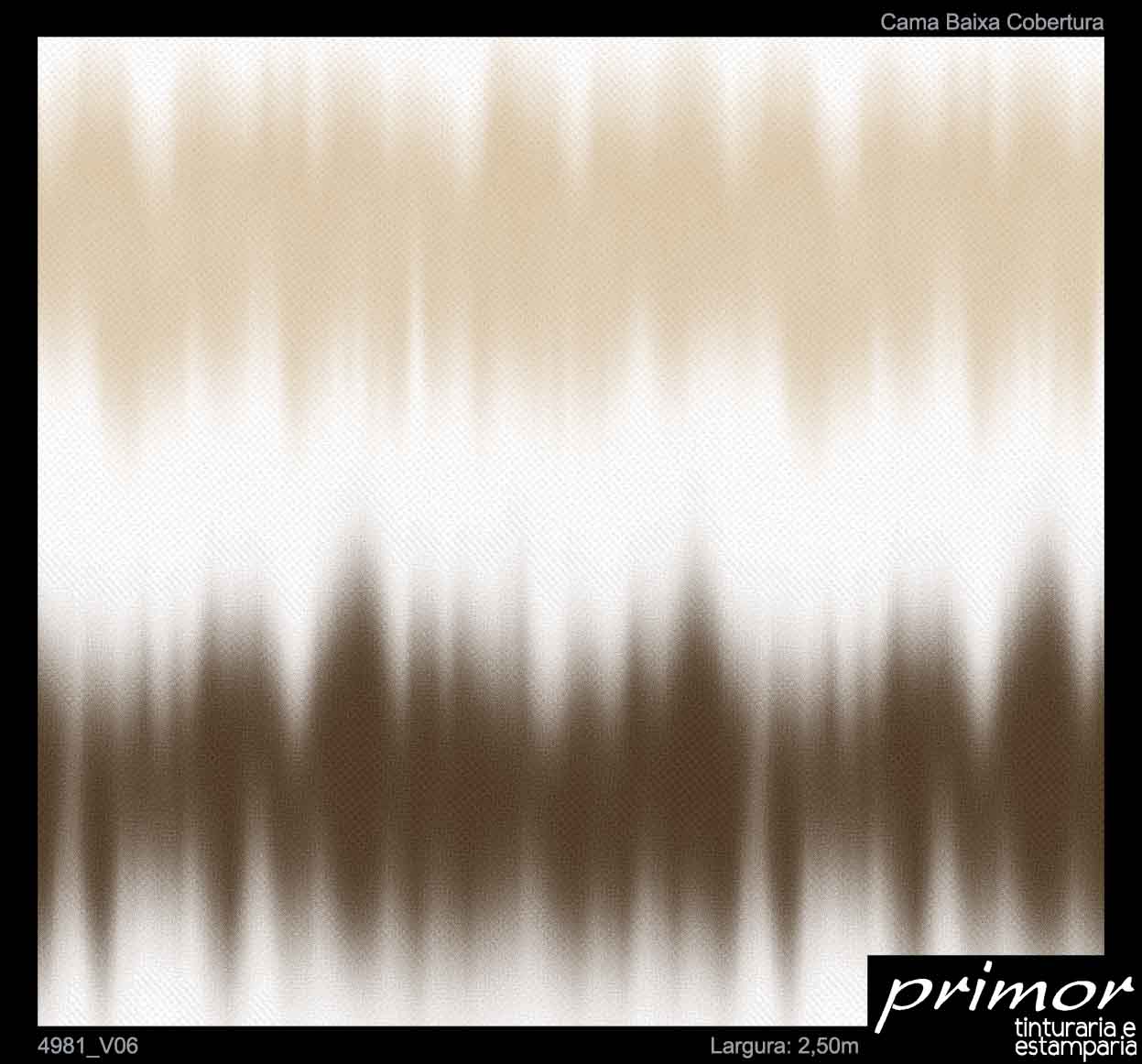 4981_Var06