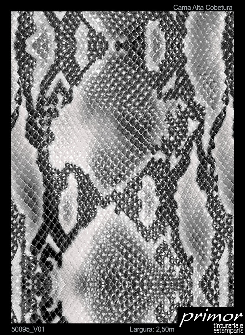 50095_V01