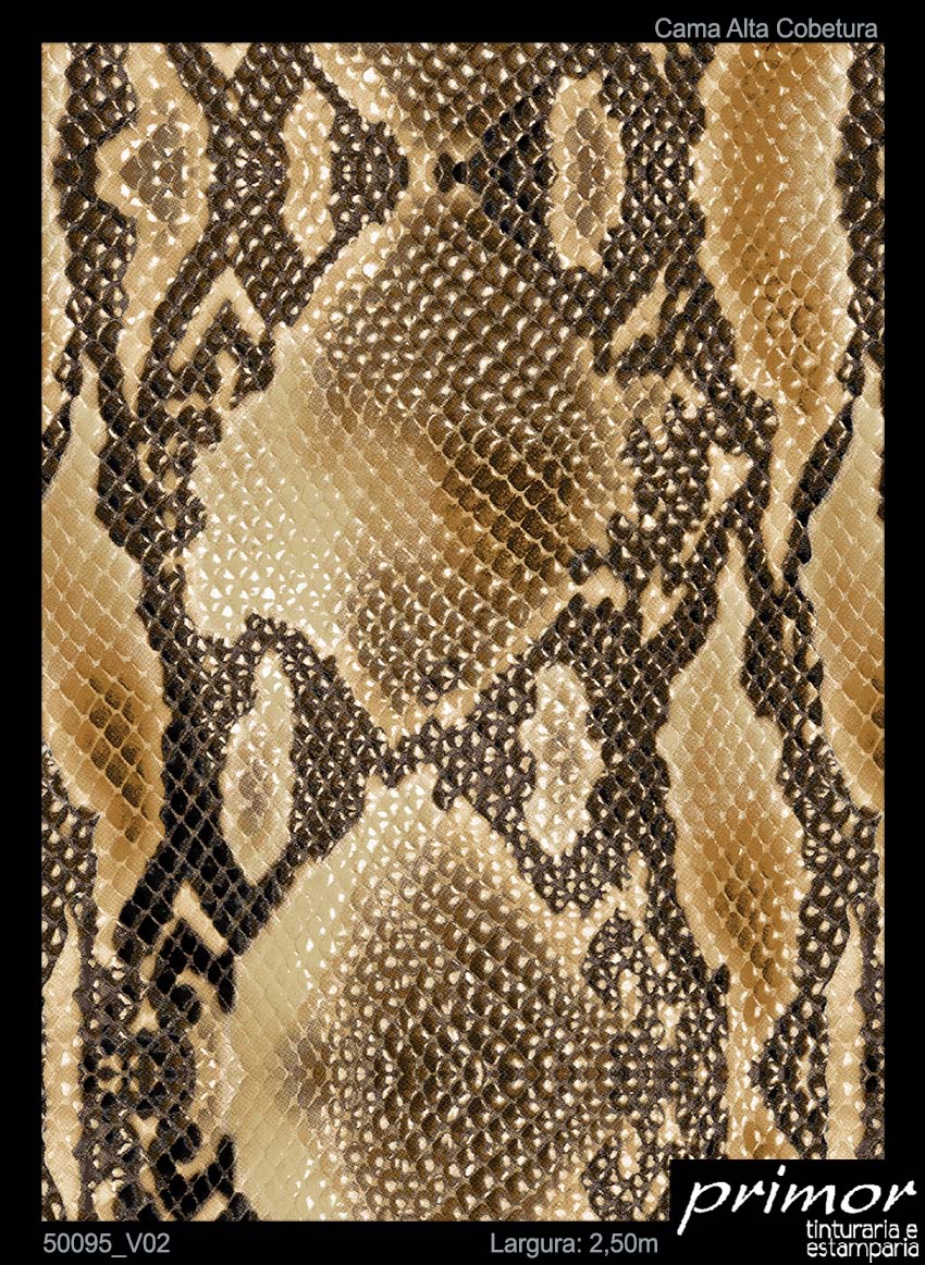50095_V02